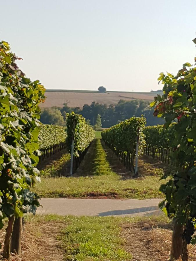 Weingut & Gaestehaus Nagel Kapellen-Drusweiler Екстериор снимка